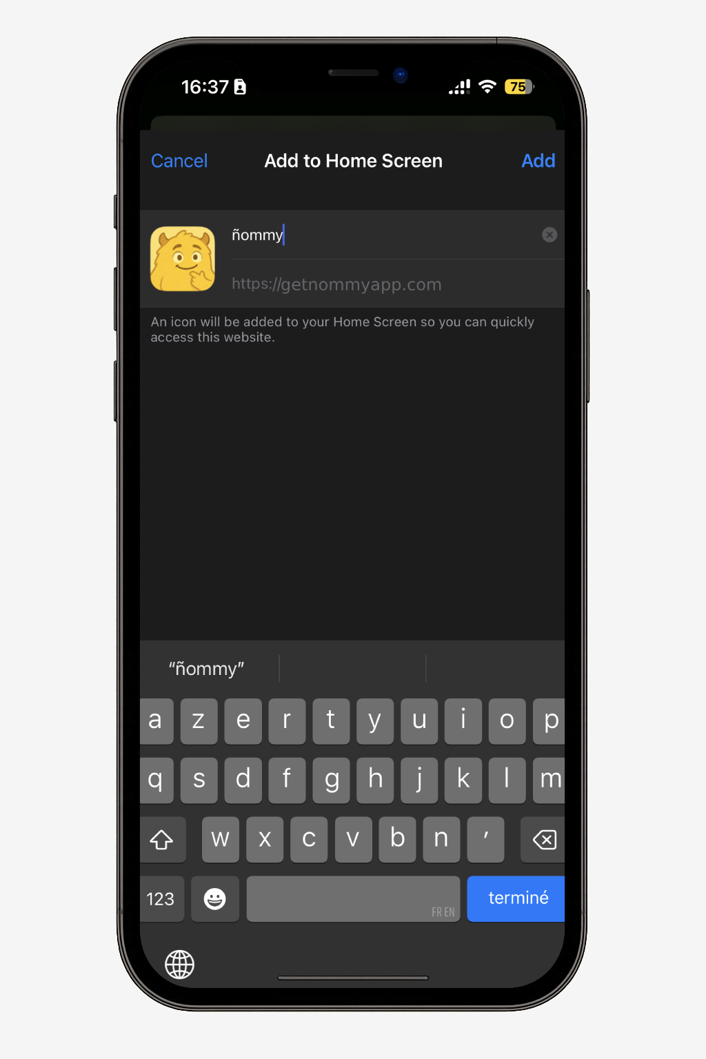 ios installation add to home screen